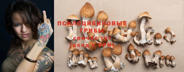 ALPHA PVP Семёнов