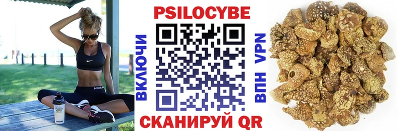 Псилоцибиновые грибы GOLDEN TEACHER Богданович