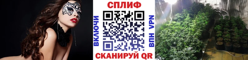 Бошки марихуана гибрид  купить закладку  Богданович 
